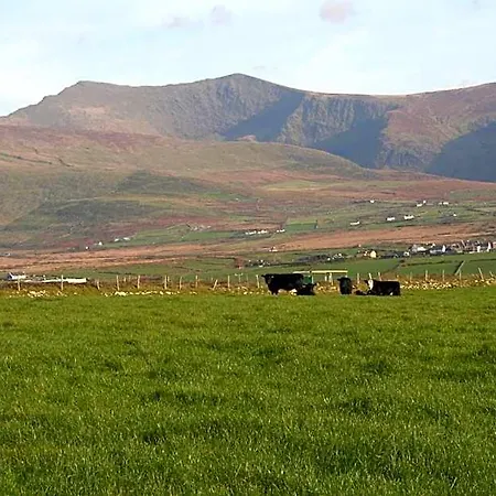 Coill An Rois