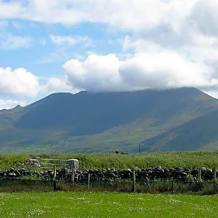 Coill An Rois