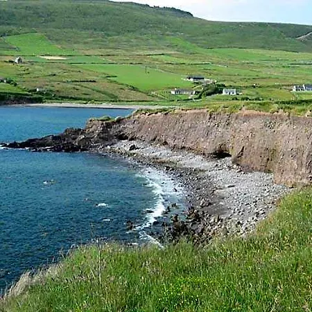 Coill An Rois 3*